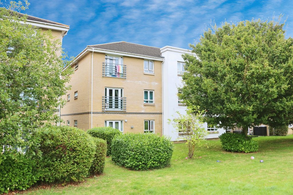 Main Image
